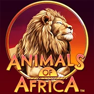 Selección Diaria: online casino game at Zanza Casino Chile